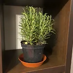 Appartement L'ancora Luxury Genua
