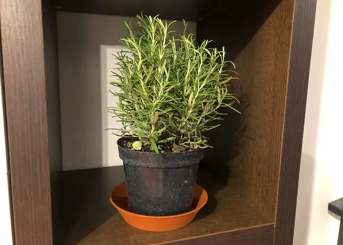 Apartmán L'ancora Luxury Janov