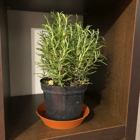 Apartment L'ancora Luxury Genua